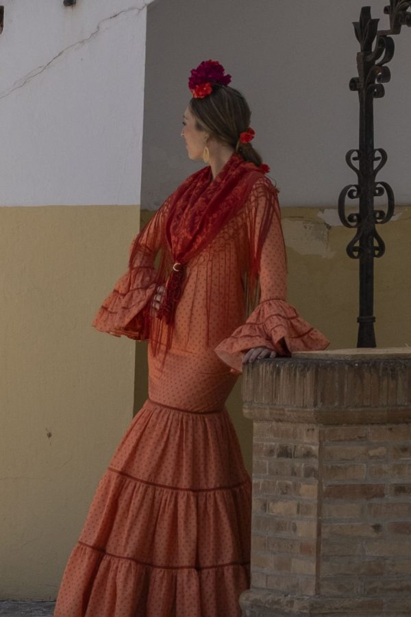 FAROLILLO - Imagen 5