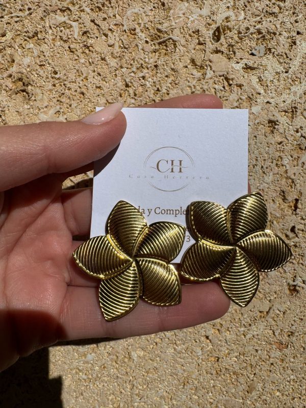 Pendientes ZOE